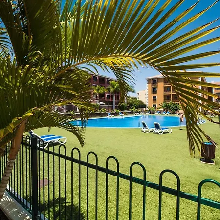 Sunny Daire